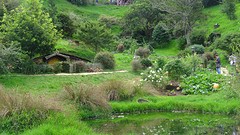 DSC02992