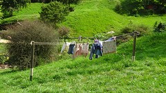 DSC03007