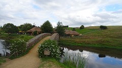 DSC03087