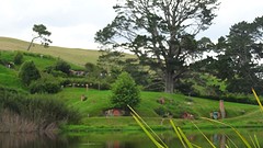 DSC03094