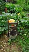 DSC03120