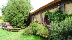 DSC03110