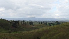 DSC03129
