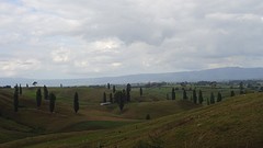 DSC03130