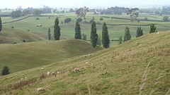 DSC03131