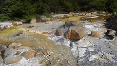 DSC03137