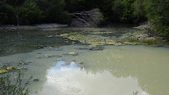 DSC03139