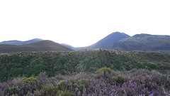 DSC03281