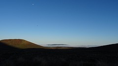 DSC03286