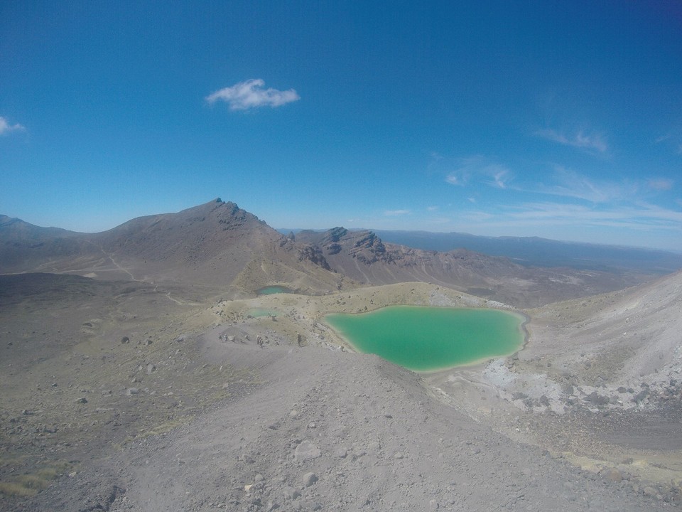 G0057919