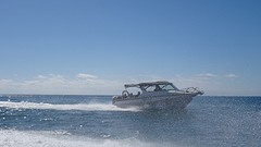 DSC03425