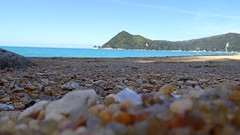DSC03475
