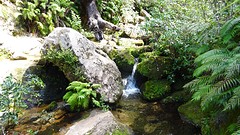 DSC03489