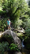 DSC03492