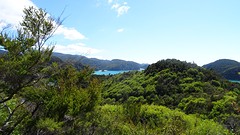 DSC03426