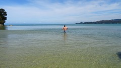 DSC03506