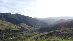 DSC03522