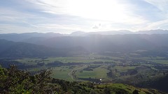 DSC03529