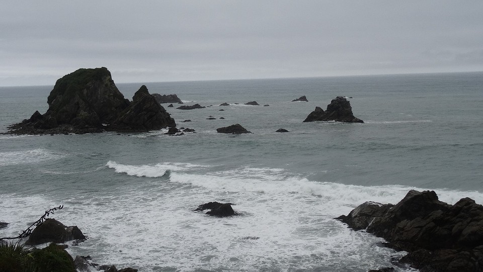 DSC03589
