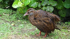 DSC03590