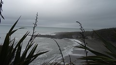 DSC03595