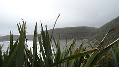 DSC03598
