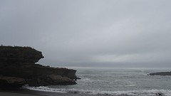 DSC03600