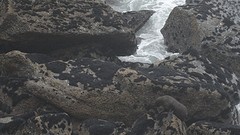 DSC03568