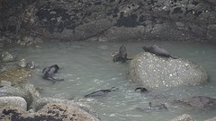 DSC03574