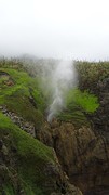 DSC03659
