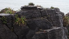 DSC03620