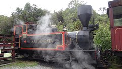 DSC03675