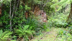 DSC03677