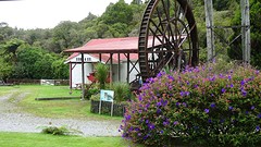 DSC03699