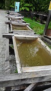 DSC03691