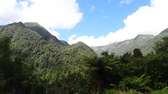 DSC03831