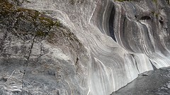 DSC03787