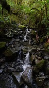 DSC04155