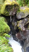 DSC04167