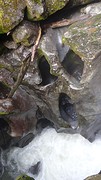 DSC04164