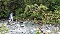 DSC04203