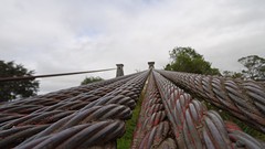 DSC04225