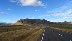 DSC03973