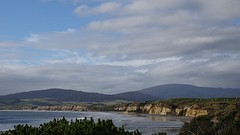 DSC04233