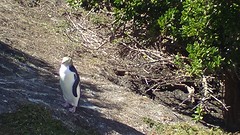 DSC01228