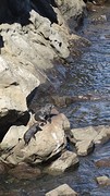 DSC04317