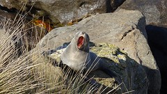 DSC04351