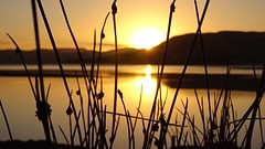 DSC04246