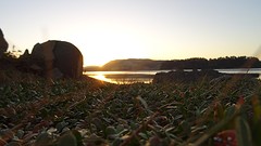 DSC04248
