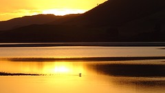 DSC04253